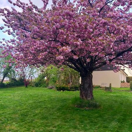 Maison Chaleureuse Avec Insert En Campagne Villa Saint-Mars-sur-la-Futaie Esterno foto