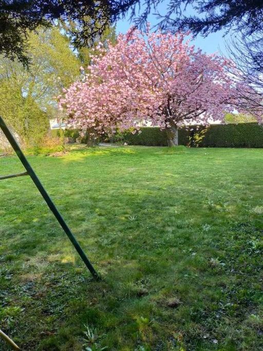 Maison Chaleureuse Avec Insert En Campagne Villa Saint-Mars-sur-la-Futaie Esterno foto