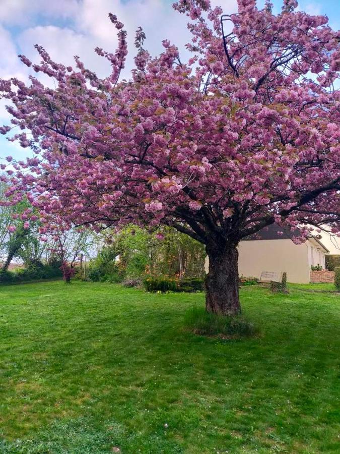 Maison Chaleureuse Avec Insert En Campagne Villa Saint-Mars-sur-la-Futaie Esterno foto